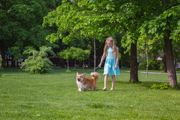 Girl with dog outdoors — Stock Photo, Image