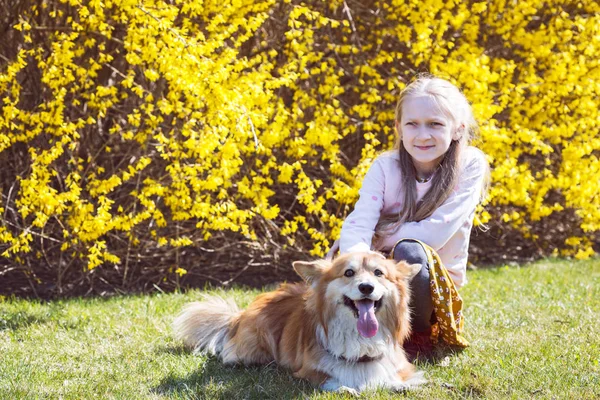 Meisje met hond buiten — Stockfoto