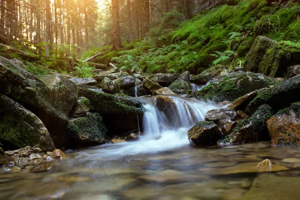 Orman şelale — Stok fotoğraf