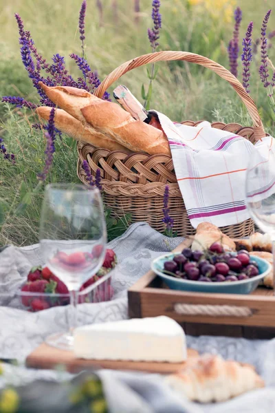 Picnic en el prado — Foto de Stock