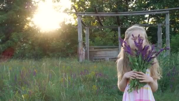 Chica Recoge Flores Salvia Atardecer — Vídeo de stock