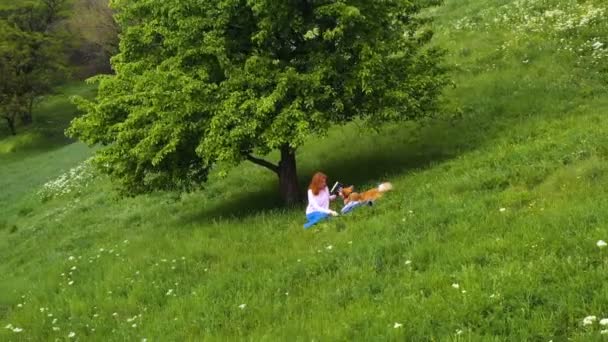 Giovane Bella Ragazza Con Cane Corgi Seduto Erba Sotto Albero — Video Stock