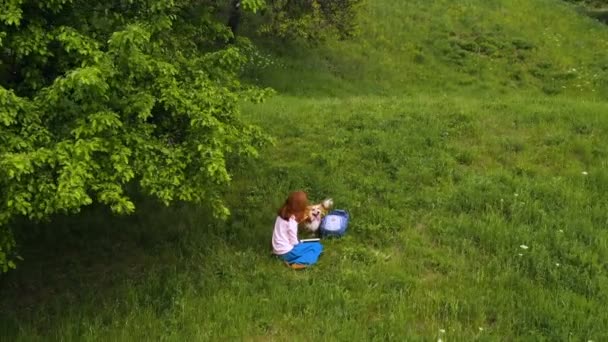 Joven Hermosa Chica Con Perro Corgi Sentado Una Hierba Bajo — Vídeo de stock