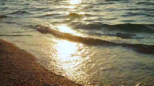 夕方の海の波 — ストック動画