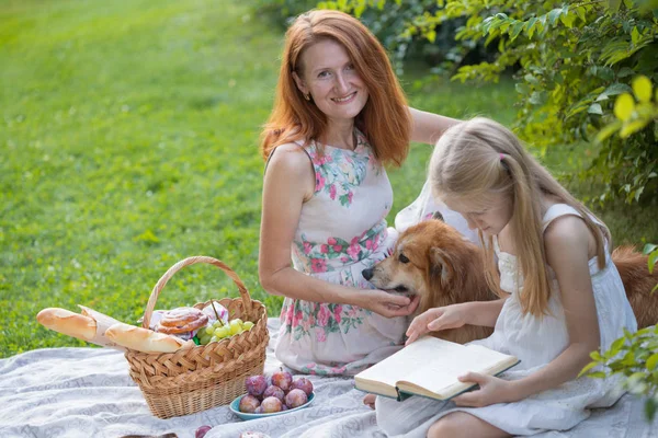 Famiglia felice ad un picnic — Foto Stock