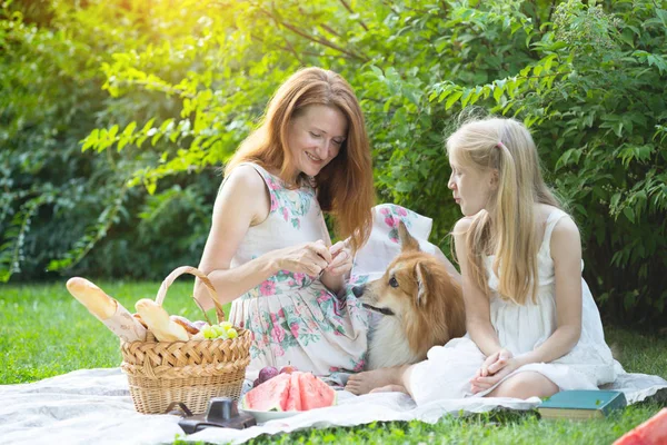 Familia feliz en un picnic —  Fotos de Stock
