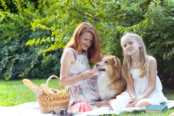 Familia feliz en un picnic —  Fotos de Stock