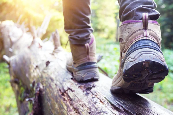 Scarponi da trekking — Foto Stock