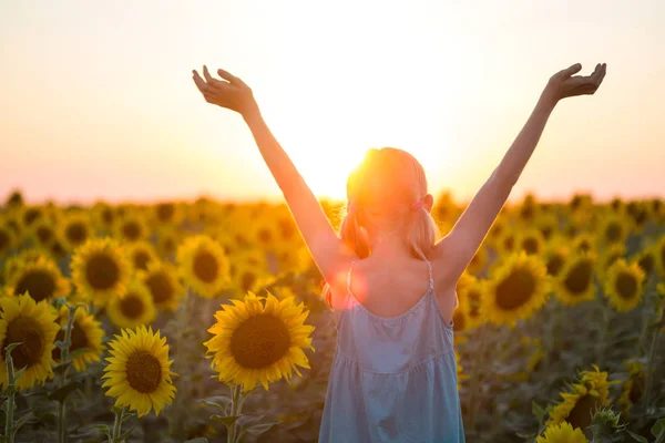 Chica en el campo de girasoles —  Fotos de Stock