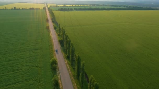 Εναέρια Άποψη Των Αρχών Του Καλοκαιριού Πράσινα Χωράφια Και Δρόμο — Αρχείο Βίντεο