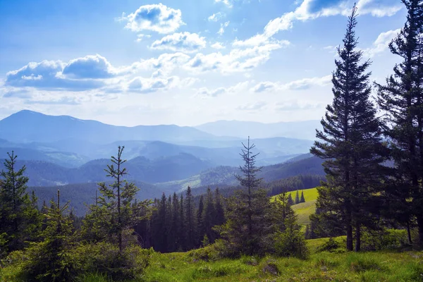 Widok na góry w Karpatach — Zdjęcie stockowe