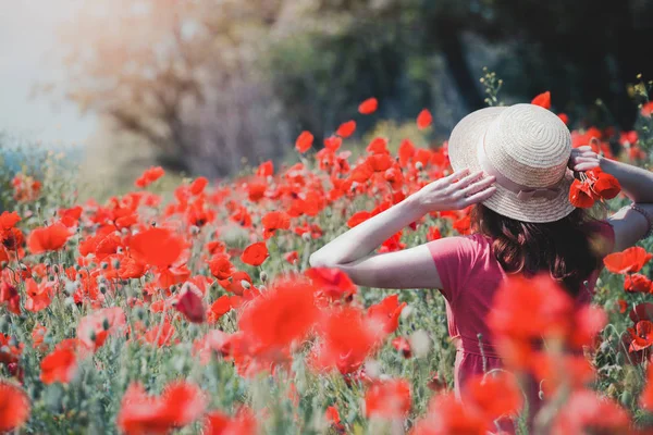 El campo de amapolas — Foto de Stock