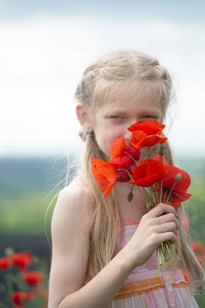 Il campo papaveri — Foto Stock