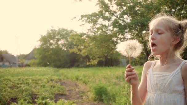 Παιδί Κορίτσι Που Παίζει Λουλούδι Πικραλίδα Στις Ακτίνες Του Ήλιου — Αρχείο Βίντεο