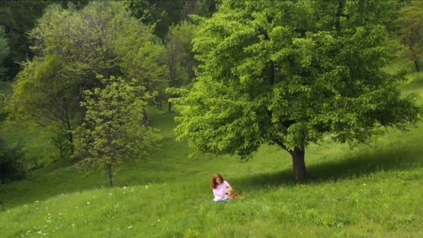 Ung Vacker Flicka Med Corgi Hunden Sitter Ett Gräs Trädet — Stockvideo