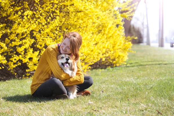 Meisje en hond — Stockfoto