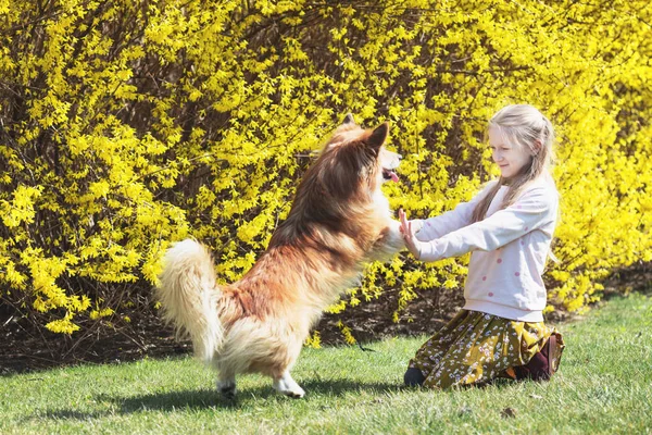 Ragazza con cane all'aperto — Foto Stock