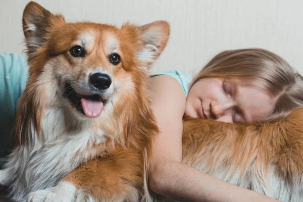 Niña y perro — Foto de Stock