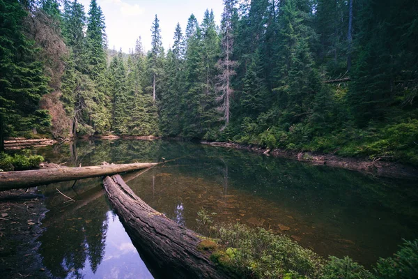 Bergsee arshytsya — Stockfoto