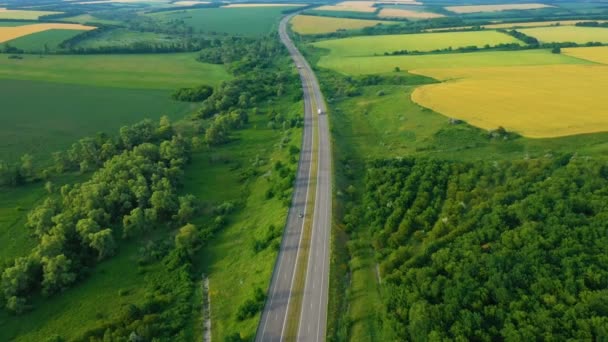 緑と黄色の夏のフィールドを通過する高速道路の航空写真 — ストック動画