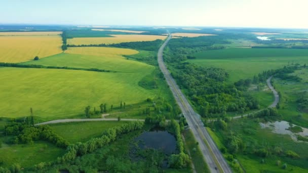 緑と黄色の夏のフィールドを通過する高速道路の航空写真 — ストック動画