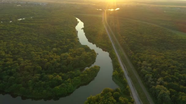 Vista Aérea Del Hermoso Bosque Con Río Los Lagos — Vídeo de stock