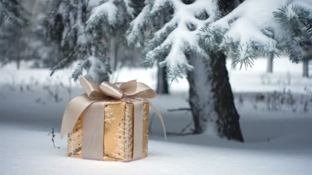 Geschenk Doos Een Sneeuw Onder Dennenboom Tijdens Sneeuwval — Stockvideo