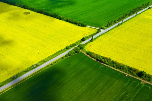 Widok lotniczy żółte kwitnące pole rzepaku — Zdjęcie stockowe