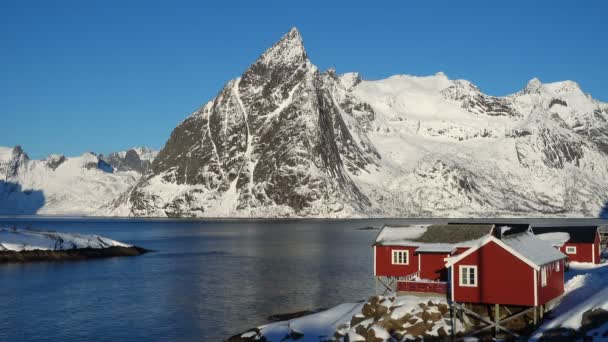 Antenn Dron Över Berömda Traditionella Flerfärgade Trähus Fiske Rorbu Havsstrand — Stockvideo