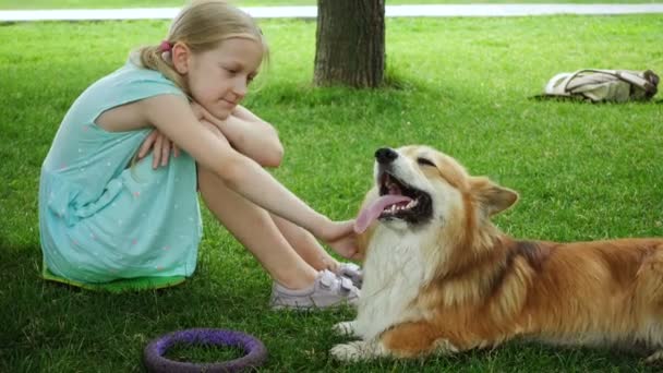 Menina Com Cão Corgi Deitado Gramado Sob Árvore — Vídeo de Stock