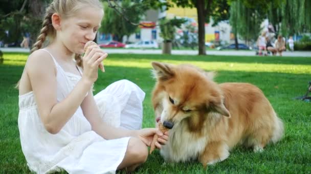 Kız Parkta Çim Üzerinde Dondurma Yeme Corgi Kabarık Köpeği — Stok video