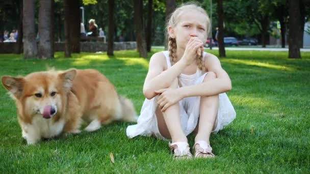 Mädchen Und Ihr Corgi Flauschiger Hund Essen Eis Auf Einer — Stockvideo