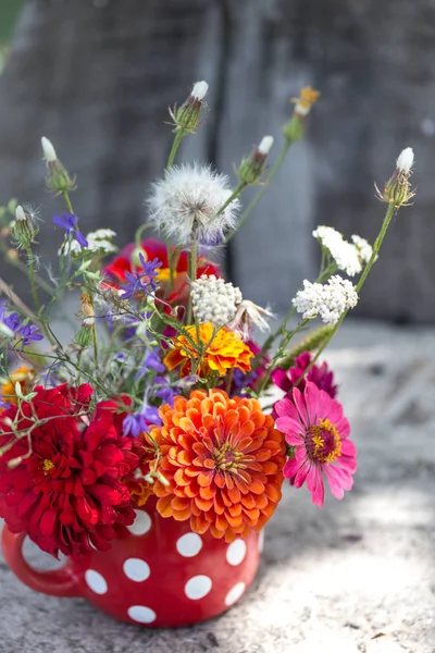 束美丽的野花 — 图库照片