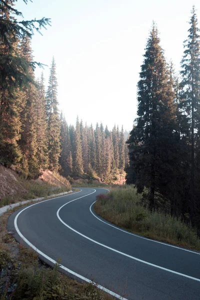 Prachtige bergweg — Stockfoto