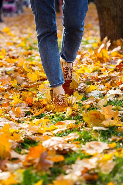 Frauenschuhe im Herbstlaub — Stockfoto