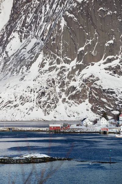 Beautiful view on the city Reine — Stock Photo, Image