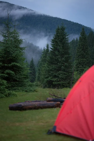 Rött tält på kvällen tallskogen — Stockfoto