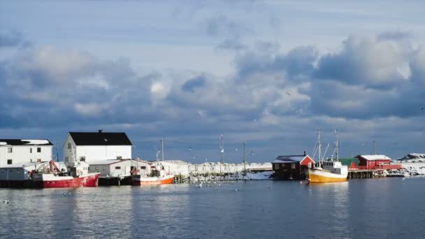 Norveç Kuzeyindeki Lofoten Takımadaları Körfezinde Çok Renkli Demirli Balıkçı Gemileriyle — Stok video