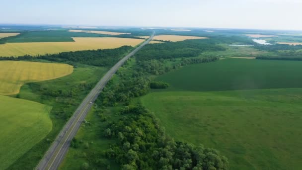 Вид Воздуха Зеленые Поля Раннего Лета Дорогу Проходящую Через — стоковое видео