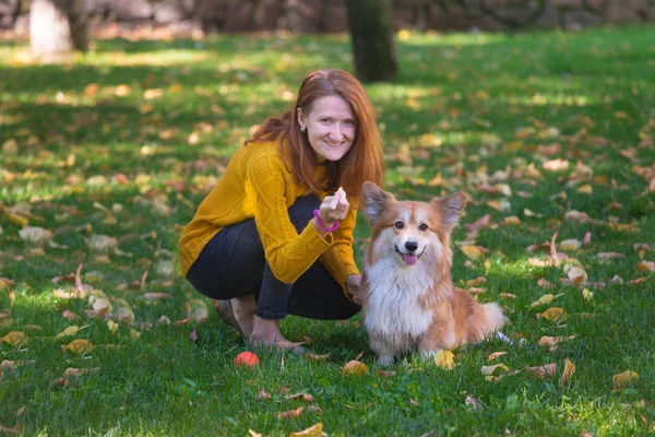 Girl and dog — Stock Photo, Image