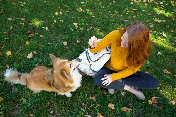 Meisje en hond — Stockfoto