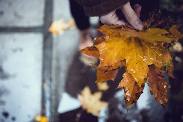 Herbststimmung und Mädchen — Stockfoto