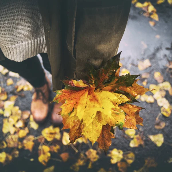 Herbststimmung und Mädchen — Stockfoto