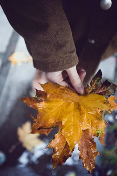 Autumn mood and girl Stock Photo