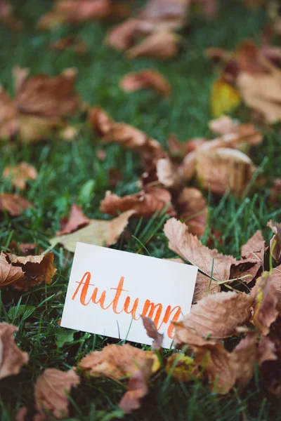 Napis jesień — Zdjęcie stockowe