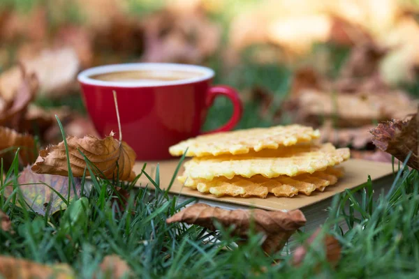 Böcker och kopp kaffe — Stockfoto