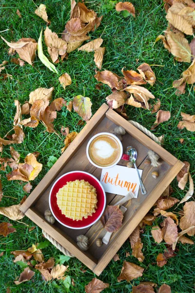 Waffle ve kahve fincanı — Stok fotoğraf