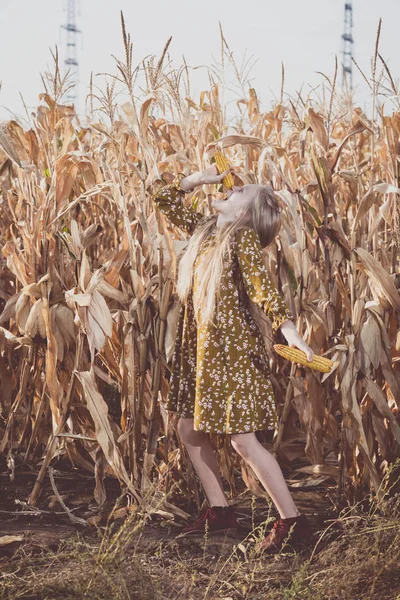 Όμορφη ξανθιά κορίτσι σε ένα χωράφι καλαμποκιού — Φωτογραφία Αρχείου