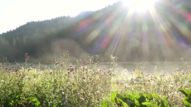 Ochtend Mist Het Meer Met Stralen Van Stralende Zon — Stockvideo