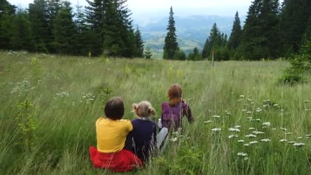 Mãe Com Filhas Caminhando Nas Montanhas Verão — Vídeo de Stock